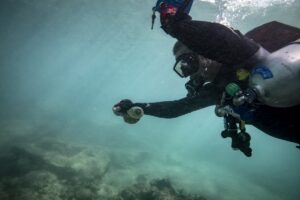 MALDİVLER (AA) – ŞEBNEM COŞKUN – Küresel iklim değişikliği nedeniyle