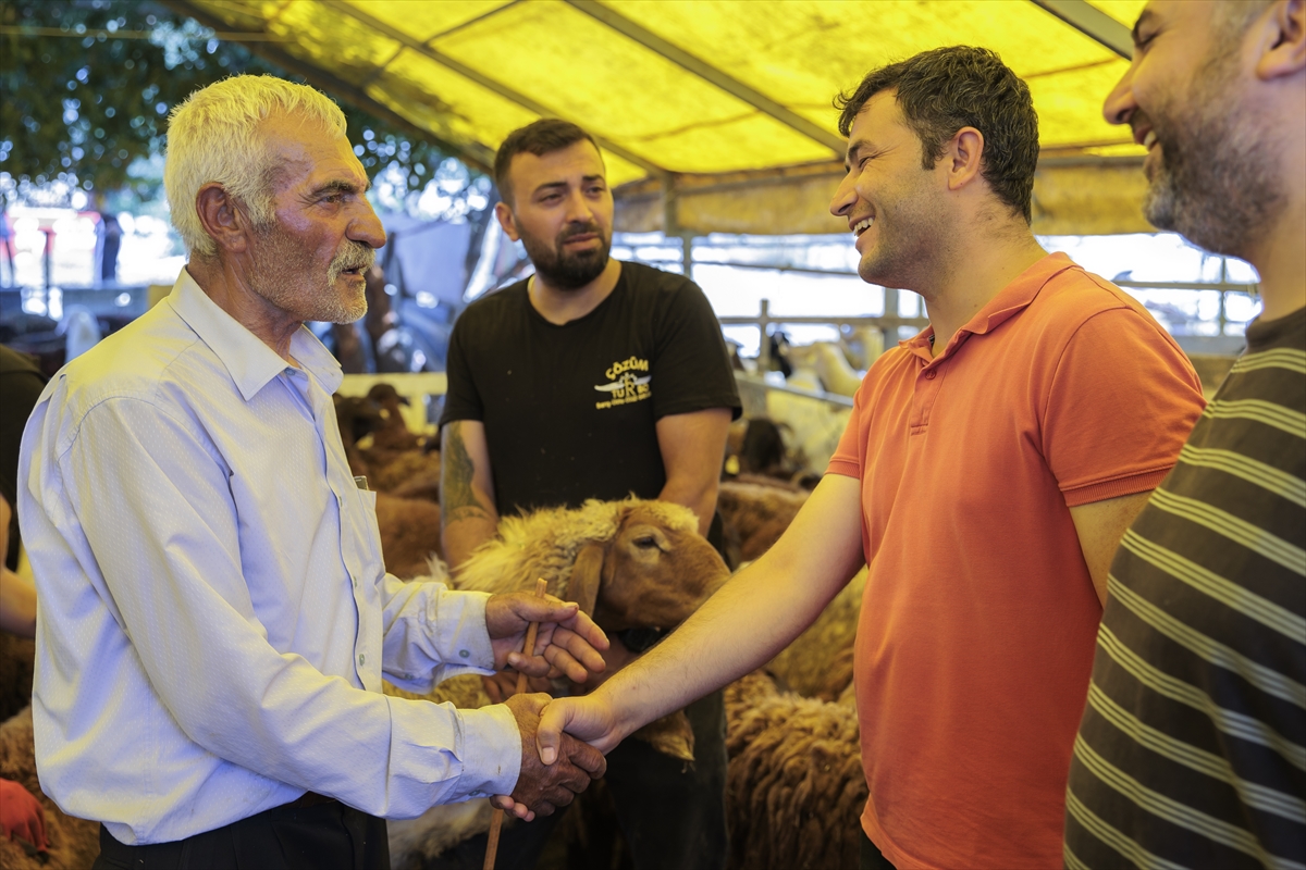 İstanbul'da kurban pazarları ve kesimhanelerde hareketlilik yaşanıyor