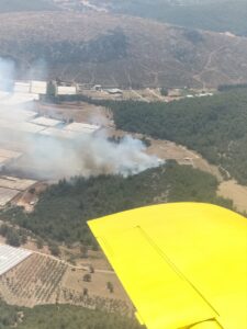 İZMİR (AA) – İzmir'in Menderes ilçesinde, seraların bulunduğu bölgede başlayan