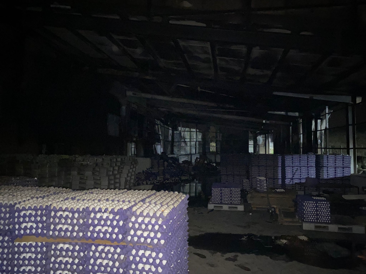 Kahramanmaraş'ta çiftlikte çıkan yangında 60 bin tavuk telef oldu