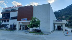 KASTAMONU (AA) – Kastamonu'nun İnebolu ilçesinde "patpat" olarak tabir edilen