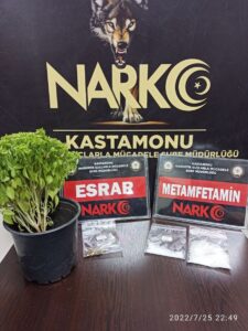KASTAMONU (AA) – Kastamonu'da çiçek saksısına gizlenmiş halde uyuşturucu ile