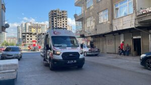 KAYSERİ (AA) – Kayseri'nin Melikgazi ilçesinde, babasının kız arkadaşını meyve