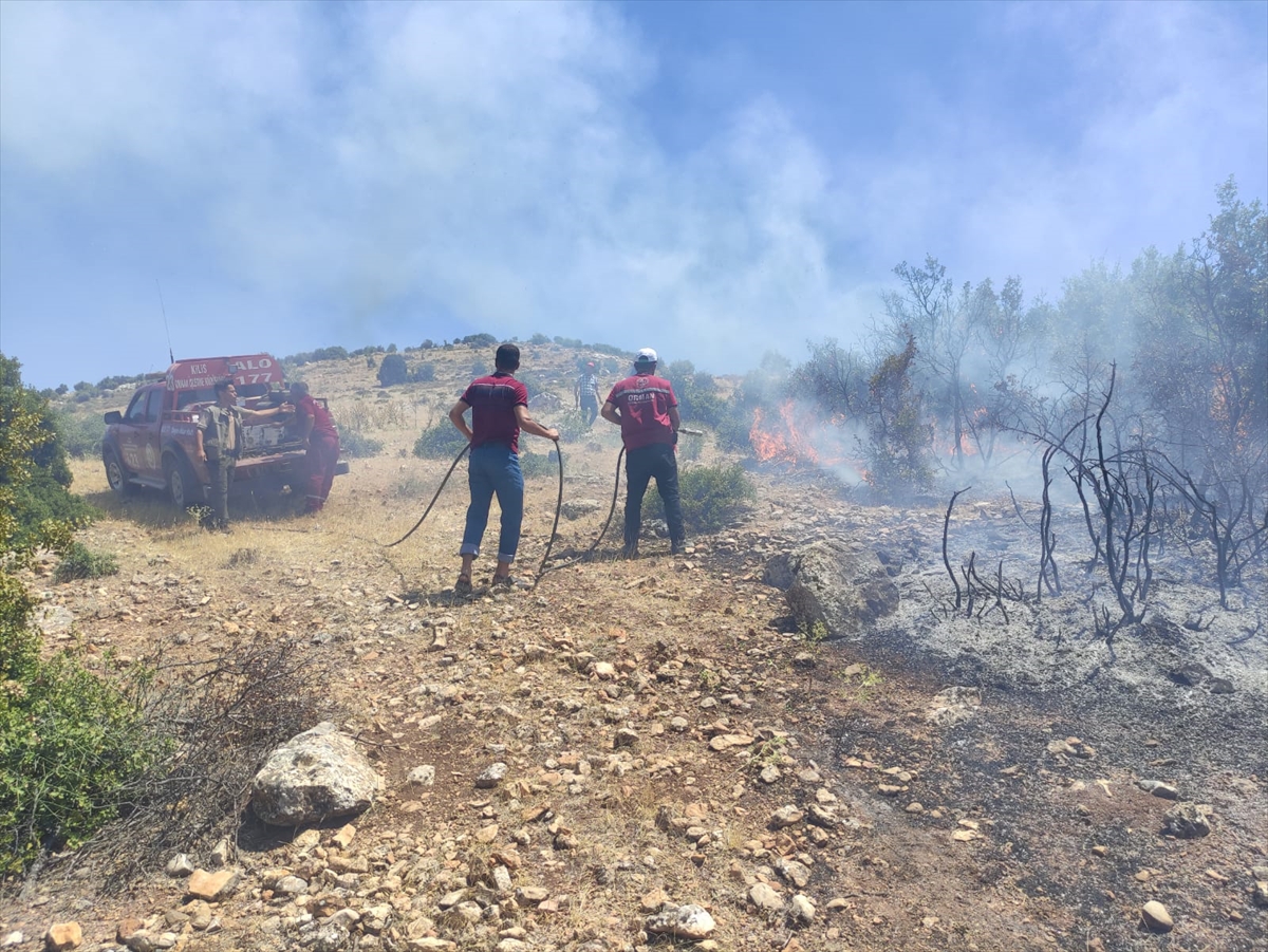 Kilis'te çıkan orman yangını söndürüldü