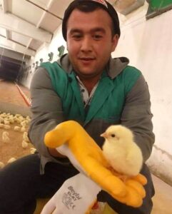 KÜTAHYA (AA) – ​​​​​​​Kütahya'nın Dumlupınar ilçesinde, saman balyası yükleme bandından