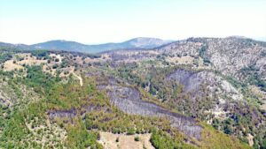 KÜTAHYA (AA) – Kütahya'nın Emet ilçesine bağlı Küreci köyü yakınlarındaki