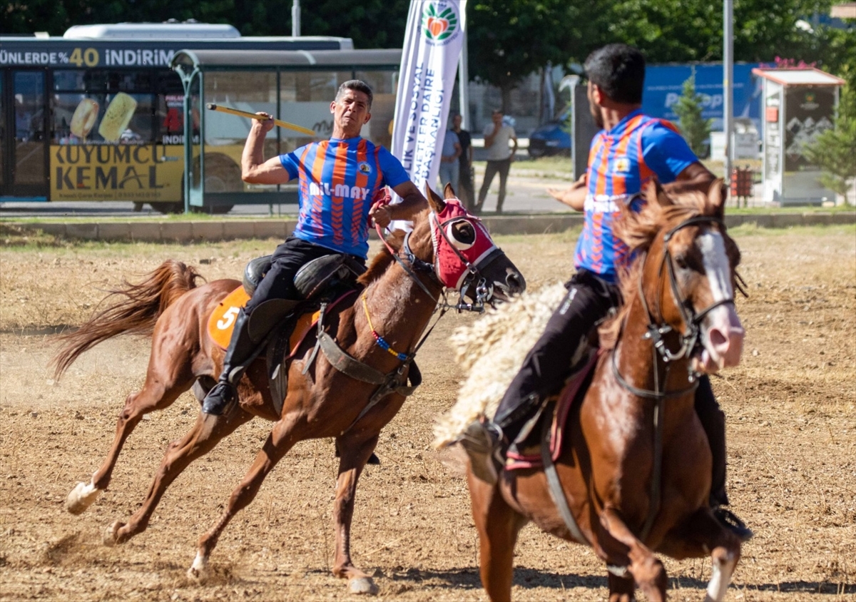 Malatya'daki kayısı festivalinde atlı cirit gösterisi sunuldu