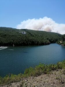 MANİSA (AA) – Manisa'nın Gördes ilçesine çıkan orman yangınına havadan