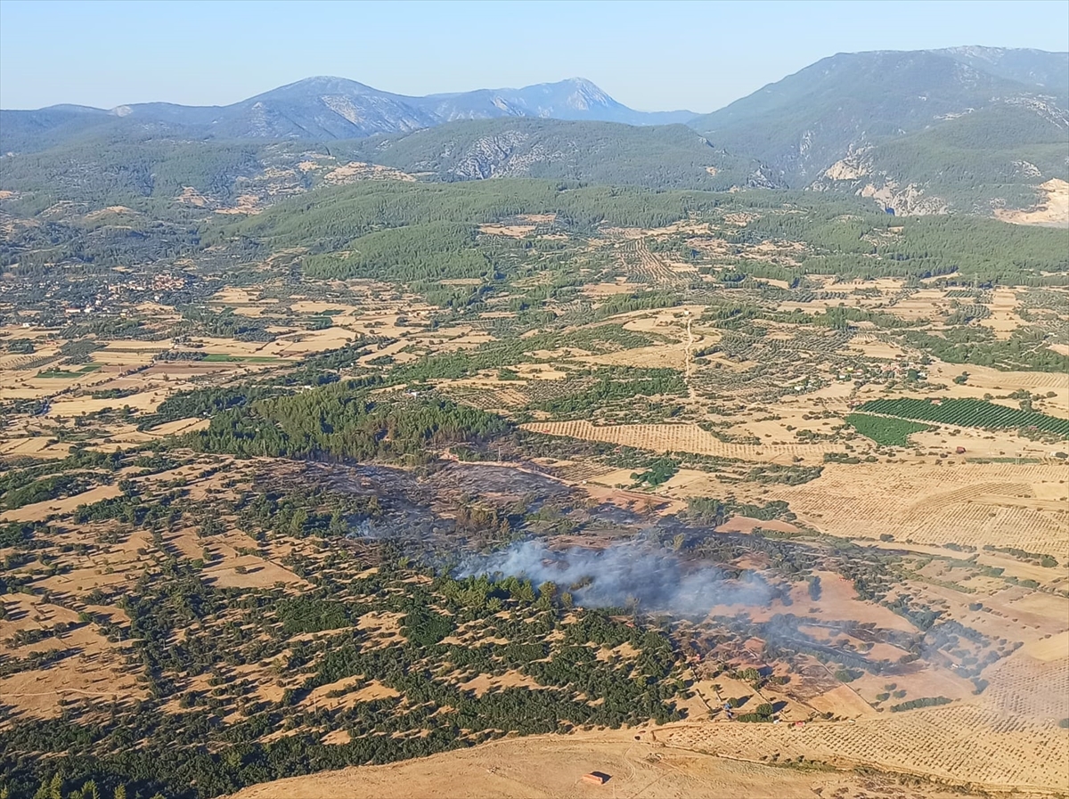 GÜNCELLEME – Milas'ta orman ve makilik alanda çıkan yangın kontrol altına alındı