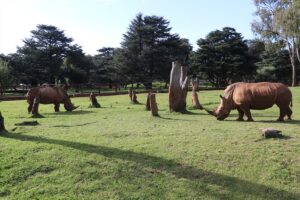 JOHANNESBURG (AA) – Mozambik'in doğal vahşi yaşam alanları, 40 yıllık