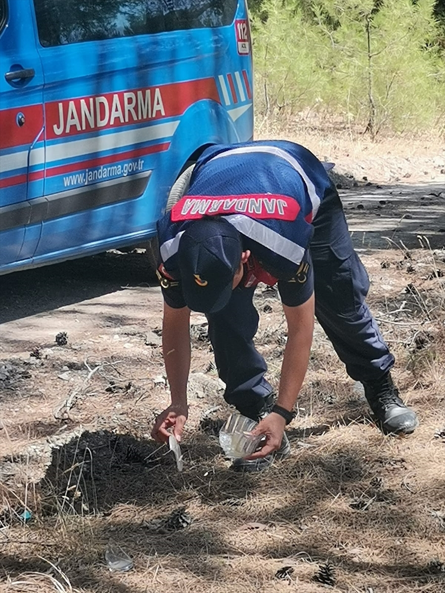 Muğla'da jandarma ekipleri orman yangınlarına karşı devriye görevi yapıyor