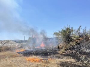 MUĞLA (AA) – Muğla'nın Fethiye ilçesinde, tarım arazisinde çıkan yangında