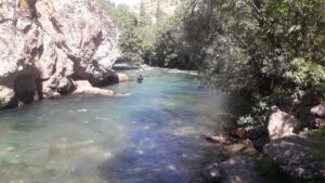 SİİRT (AA) – Siirt'in Pervari ilçesinde, Müküs Çayı'na düşüp akıntıya