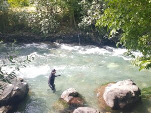 SİİRT (AA) – Siirt'in Pervari ilçesinde, Müküs Çayı'na düşüp akıntıya