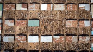 ABUJA (AA) – Afrika kıtasında en fazla Müslüman nüfusa sahip