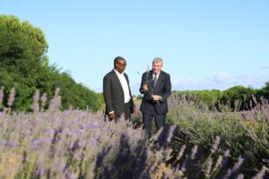 SAKARYA (AA) – Nijerya'dan gelen yatırımcılar, Sakarya Büyükşehir Belediyesinin tarım