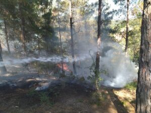 OSMANİYE (AA) – Osmaniye'nin Kadirli ilçesinde çıkan yangında 2 dekarlık