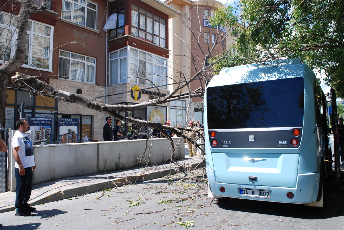 Pendik'te yolcu minibüsünün üzerine ağaç devrildi