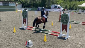 YALOVA (AA) – Türkiye Binicilik Federasyonu Pony Ligi yarışları Yalova'da