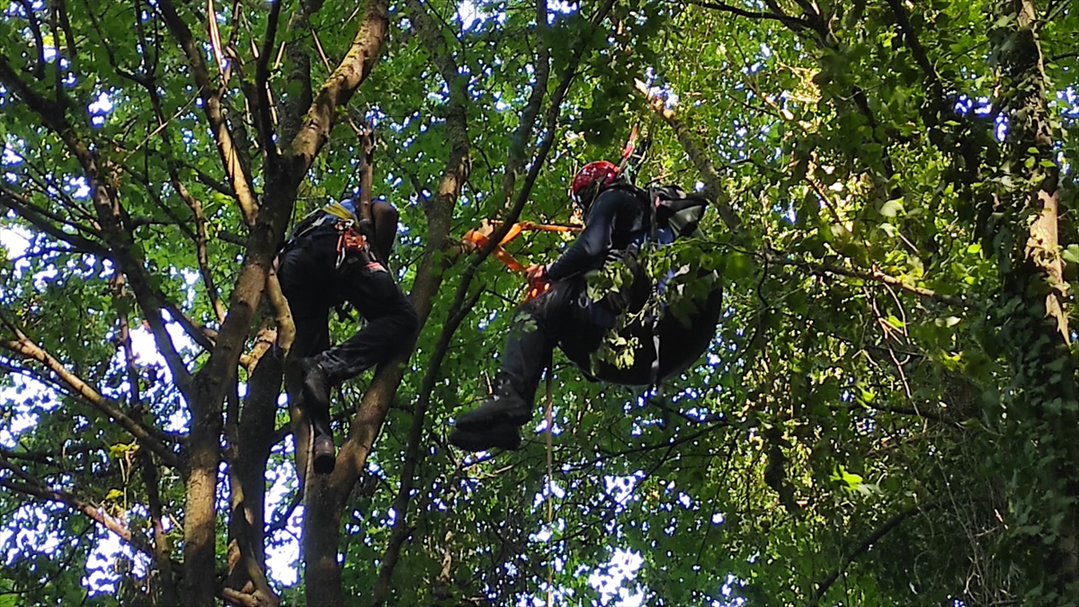 Sakarya'da ağaçlara takılan paraşütçü, AFAD ekibince kurtarıldı