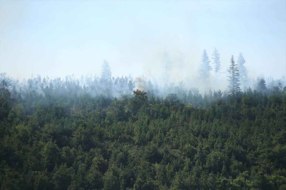 Sakarya'da çıkan orman yangınına müdahale ediliyor