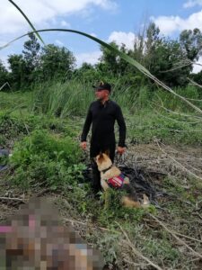 SAMSUN (AA) – Samsun'un Çarşamba ilçesinde 13 gündür kayıp olan