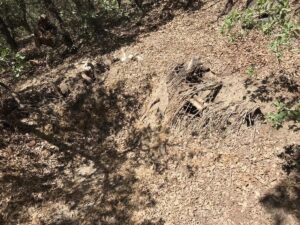 ANKARA (AA) – İçişleri Bakanlığı, Şırnak ve Siirt'te bin 377