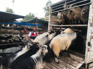 ANTALYA (AA) – Antalya'nın Manavgat ilçesinde sosyal medyadan tanıştıkları kişinin