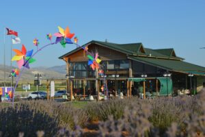 AFYONKARAHİSAR (AA) – ARİF YAVUZ – Afyonkarahisar'ın Dinar ilçesindeki 186