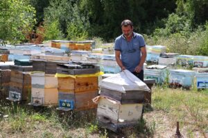 EDİRNE (AA) – Trakya'da arıcılar, ayçiçeğine zarar veren çayır tırtılına