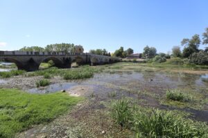 EDİRNE (AA) – Edirne'de Tunca ve Meriç nehirlerinin debisinde düşüş