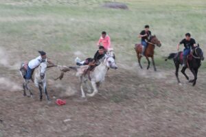 VAN (AA) – NECMETTİN KARACA – Van'ın Erciş ilçesinde yaşayan