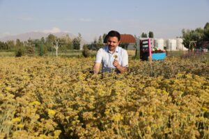VAN (AA) – Van Yüzüncü Yıl Üniversitesi Ziraat Fakültesi Tarla