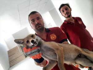 YALOVA (AA) – Yalova'nın Çiftlikköy ilçesinde girdiği okulda mahsur kalan