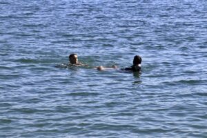 CESETLERİN BULUNMASI EKLENDİ 