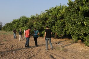 ADANA (AA) – Adana'da kayıp olarak aranan kişi, bir bahçede