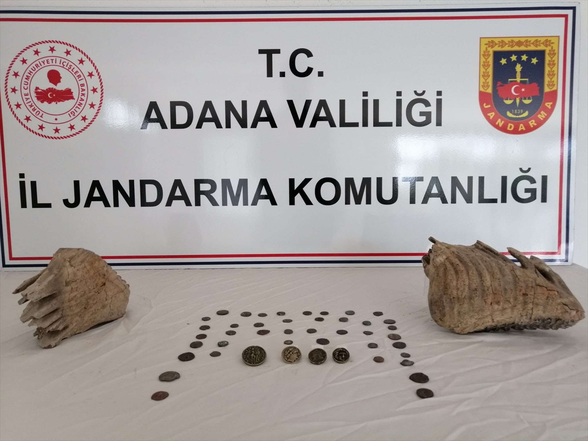 Adana'da mamut çenesi olduğu değerlendirilen iki fosil ele geçirildi