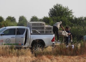 ADIYAMAN (AA) – Adıyaman'da biyoçeşitliliğin artırılması amacıyla doğaya 1200 sülün