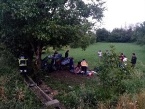 AFYONKARAHİSAR (AA) – Afyonkarahisar'ın Çay ilçesinde otomobilin şarampole devrilmesi sonucu