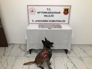 AFYONKARAHİSAR (AA) – Afyonkarahisar'ın Sinanpaşa ilçesinde uyuşturucu ele geçirilen araçta