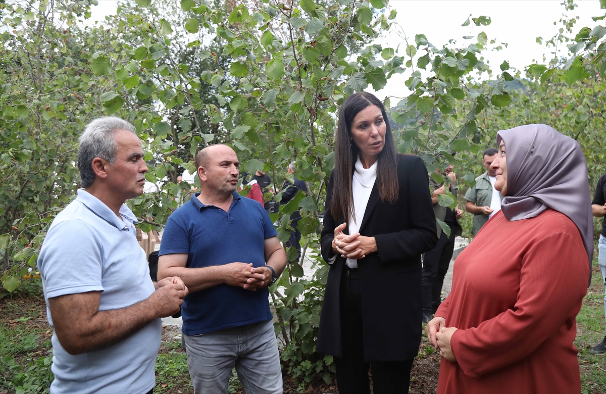 AK Partili Karaaslan, Samsun'da fındık üreticileriyle buluştu: