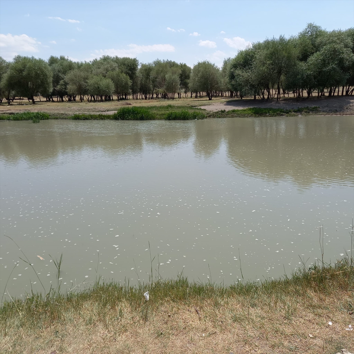 Aras Nehri'ne düşen çocuğunu kurtarmaya çalışan anne akıntıya kapılarak boğuldu