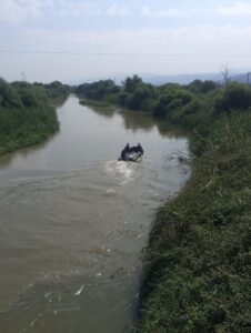 - Menderes Nehri'ne atla girdiği öne sürülen genç için su