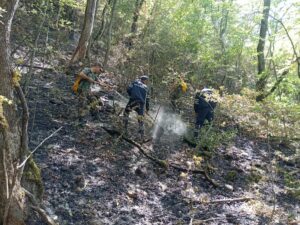 BAKÜ (AA) – Azerbaycan Olağanüstü Haller Bakanlığı, ülkenin kuzeyindeki orman