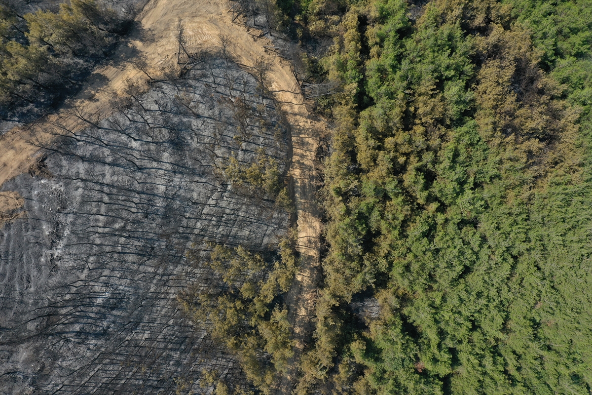 Balıkesir'deki orman yangınında soğutma çalışmaları sürüyor