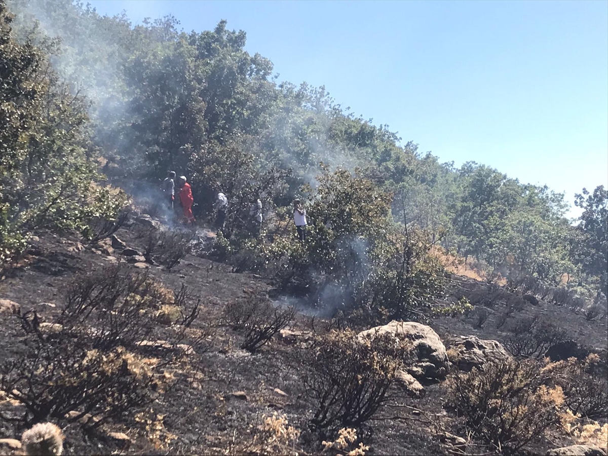 Bingöl'de çıkan orman yangını söndürüldü