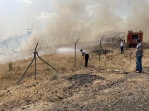 BİNGÖL (AA) – Bingöl'de meşelik ve otluk alanda çıkan yangın