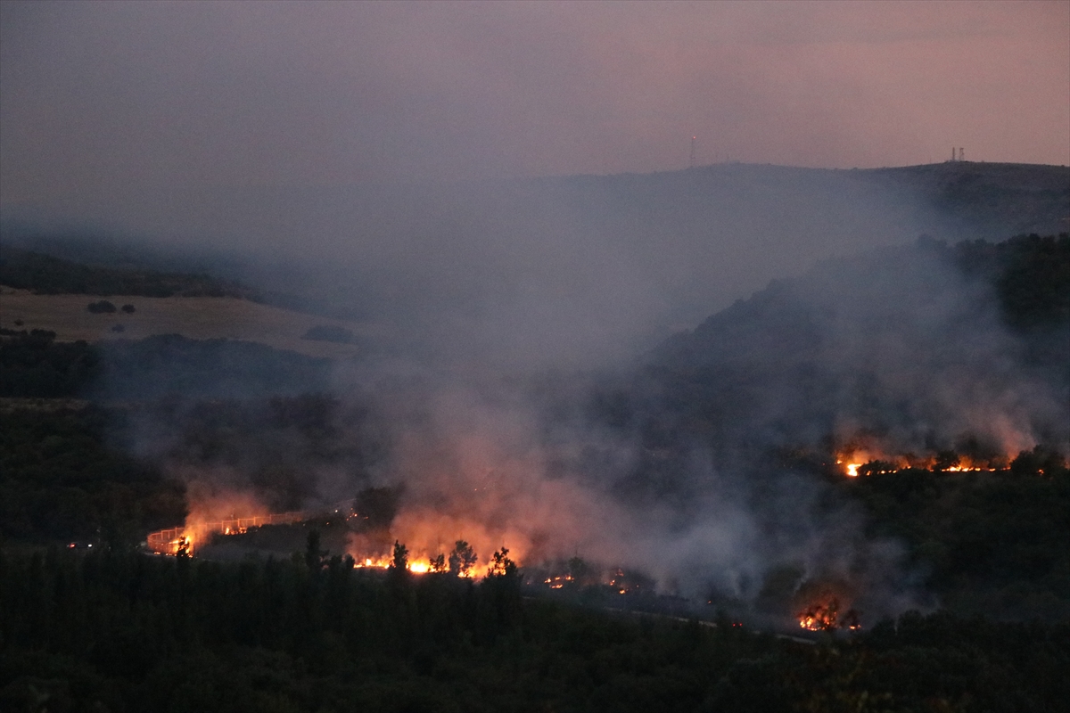 Bulgaristan'da çıkan orman yangınında alevler Edirne'den görülebiliyor
