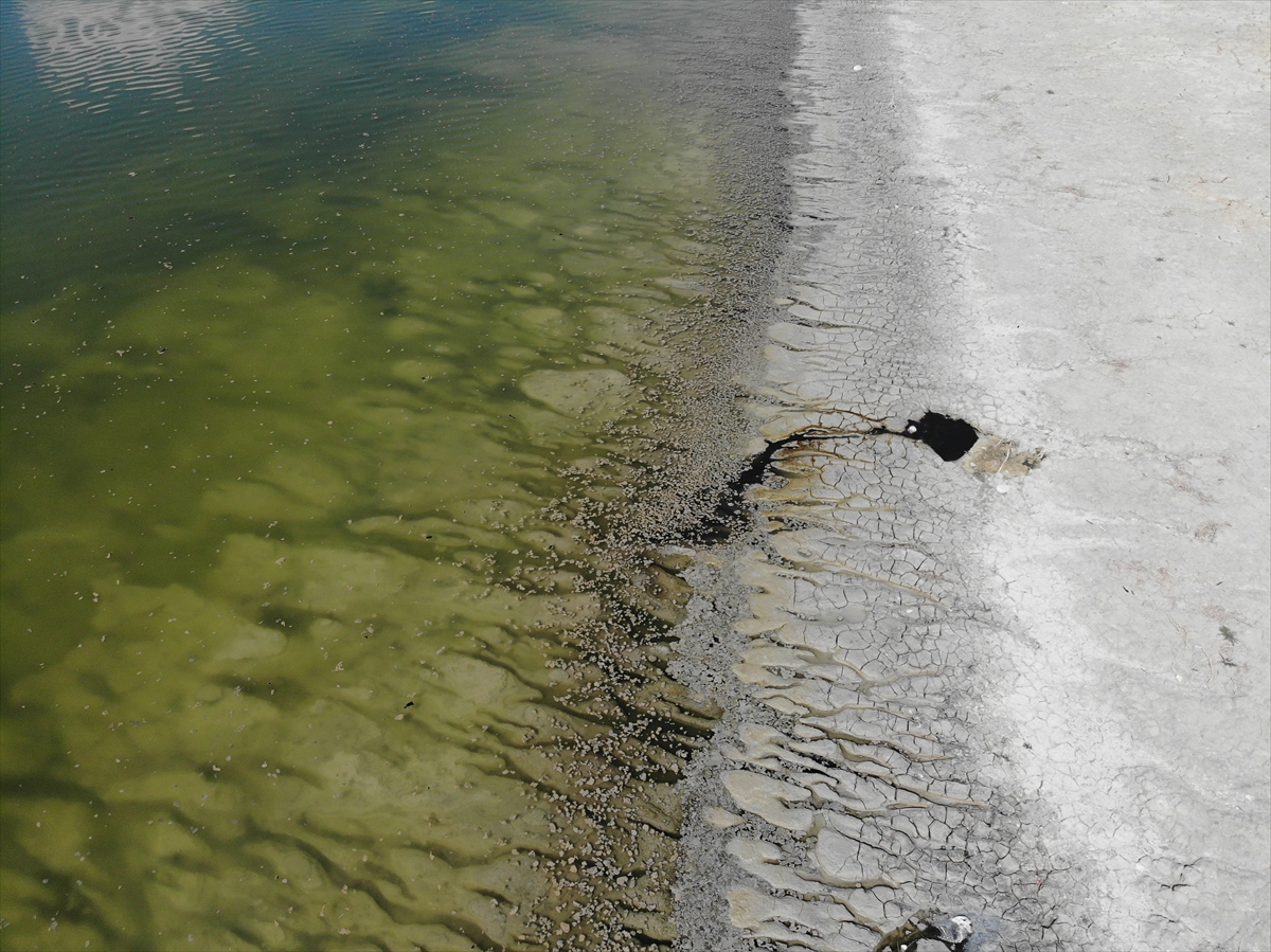 Burdur Gölü'nde alg patlaması endişeye neden oldu