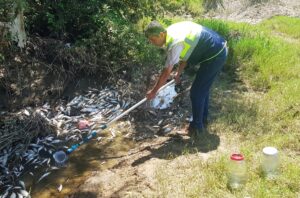 ANKARA (AA) – Çevre, Şehircilik ve İklim Değişikliği Bakanlığı, Bartın